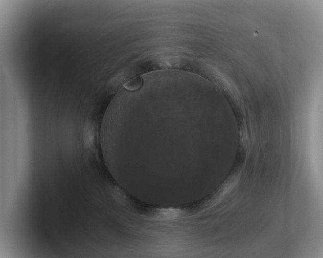 X0000102480233200808151456