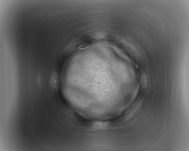 X0000102480234200808151456