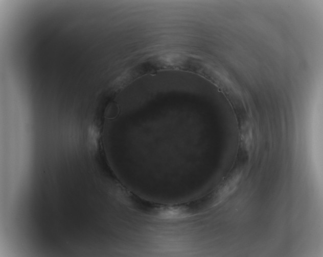 X0000102480235200808151456