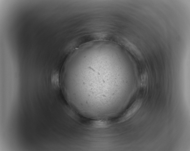 X0000102480238200808151456