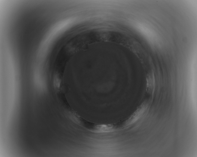 X0000102480239200808151456