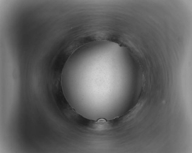 X0000102480240200808151456