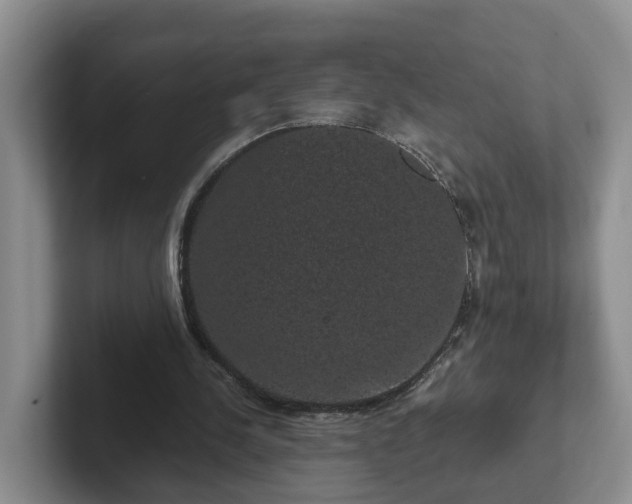 X0000102480244200808151456