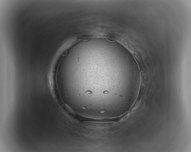 X0000102480245200808151456