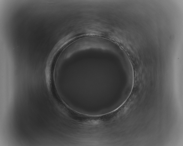 X0000102480247200808151456