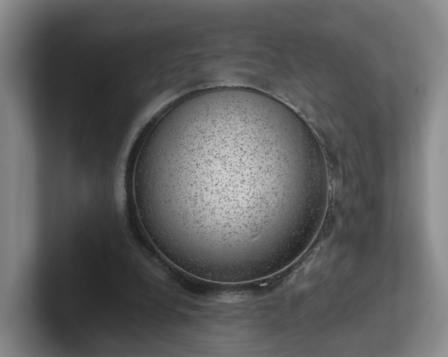 X0000102480248200808151456