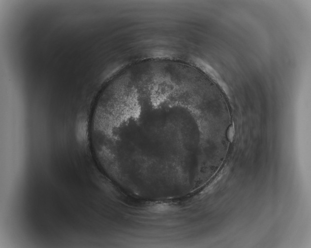 X0000102480249200808151456