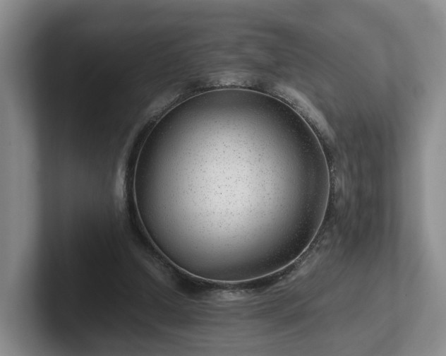 X0000102480250200808151456