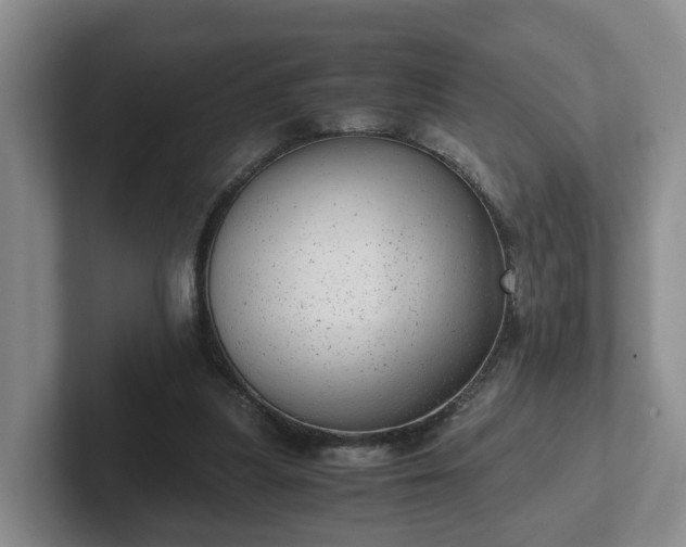 X0000102480251200808151456