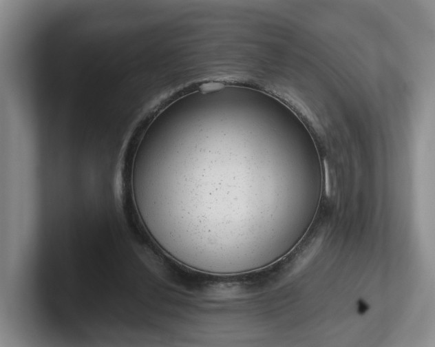 X0000102480252200808151456