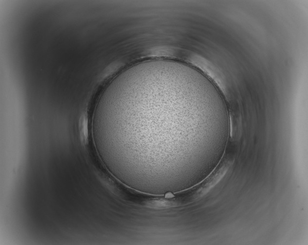 X0000102480253200808151456