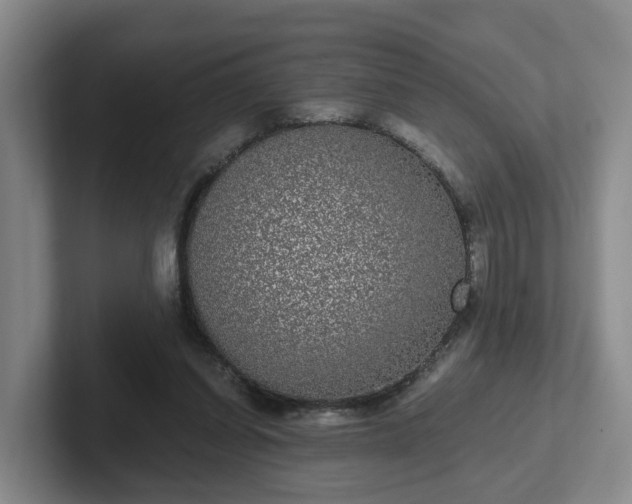 X0000102480254200808151456