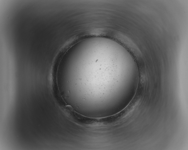 X0000102480256200808151456