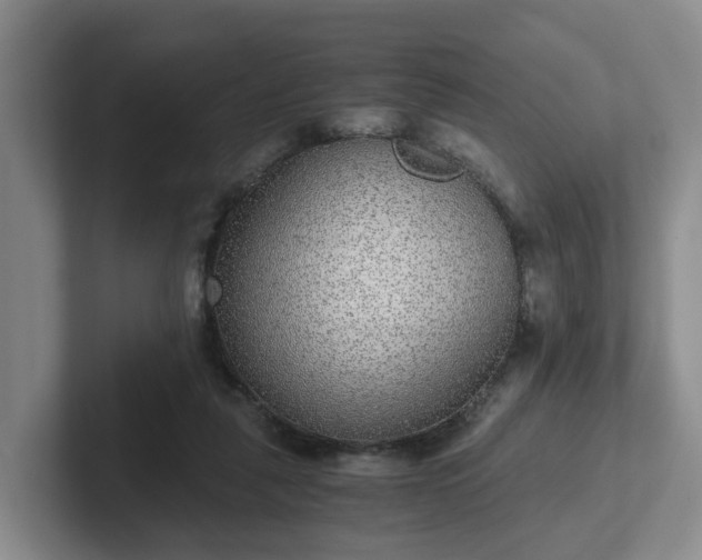 X0000102480259200808151456