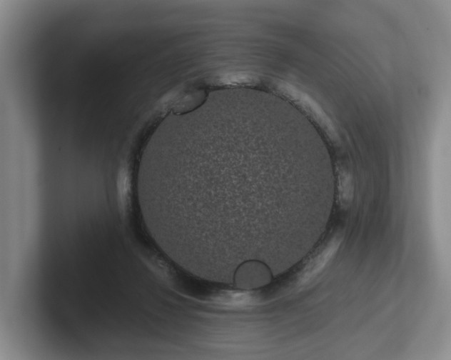 X0000102480260200808151456