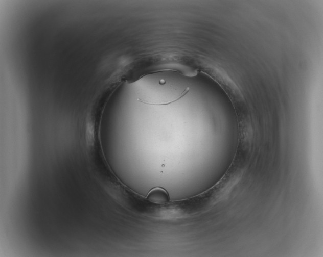 X0000102480262200808151456