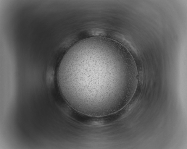 X0000102480263200808151456