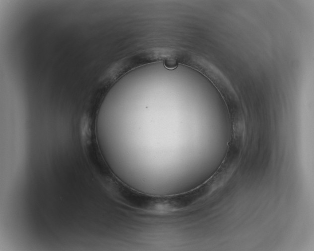 X0000102480264200808151456