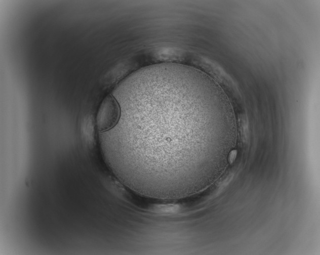 X0000102480266200808151456