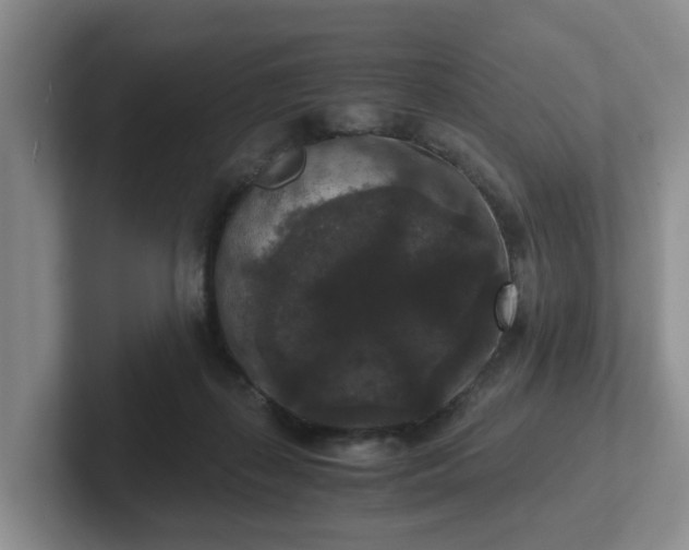 X0000102480267200808151456