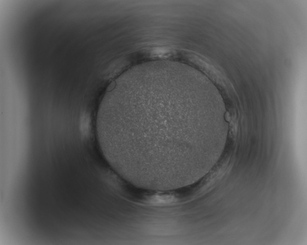 X0000102480270200808151456