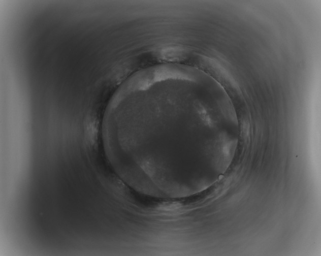 X0000102480271200808151456