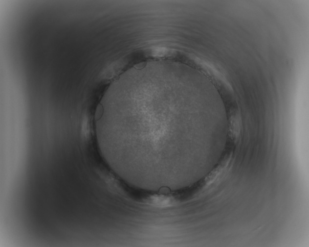 X0000102480272200808151456