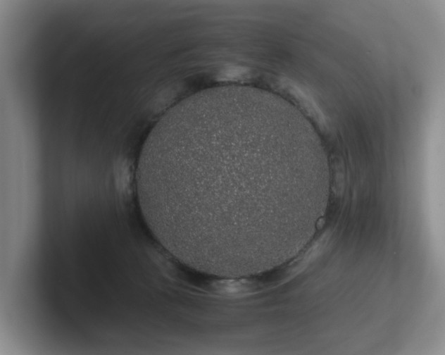 X0000102480273200808151456