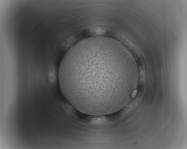 X0000102480274200808151456