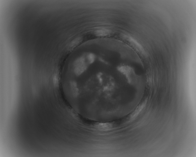 X0000102480277200808151456