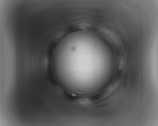 X0000102480279200808151456