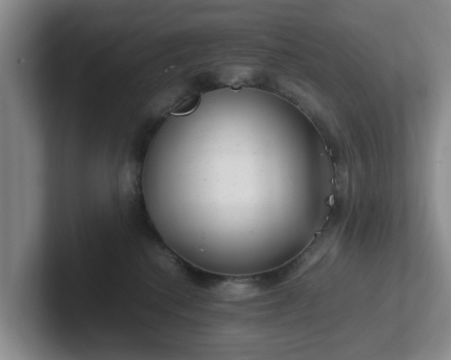 X0000102480280200808151456