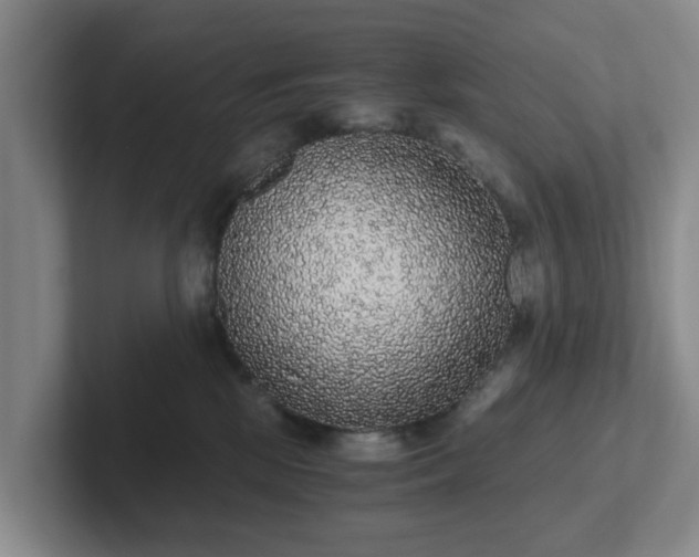 X0000102480281200808151456