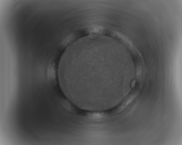 X0000102480282200808151456