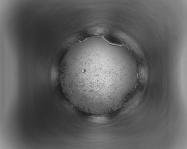 X0000102480284200808151456