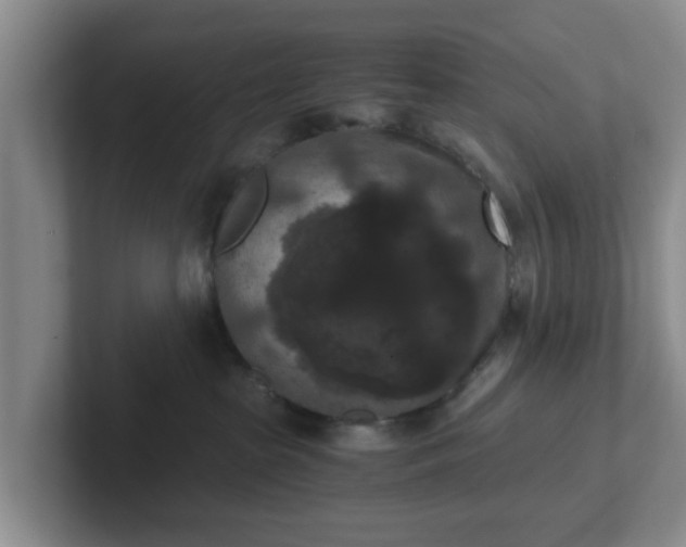 X0000102480285200808151456