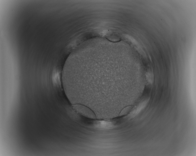 X0000102480286200808151456