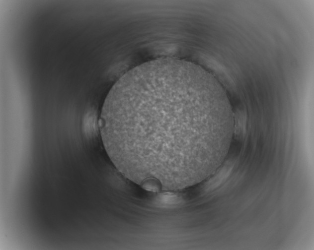 X0000102480287200808151456