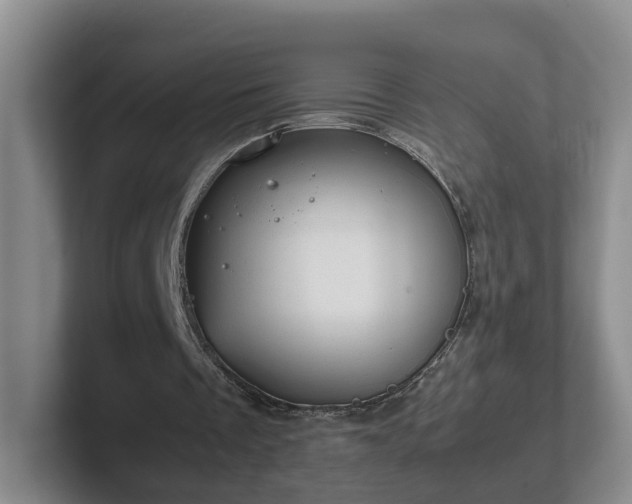 X0000102480289200808151456