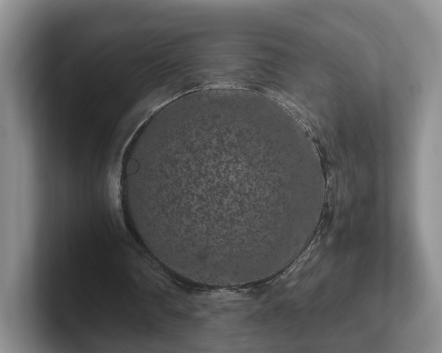 X0000102480290200808151456