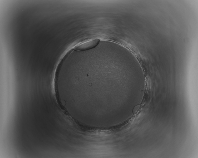 X0000102480292200808151456