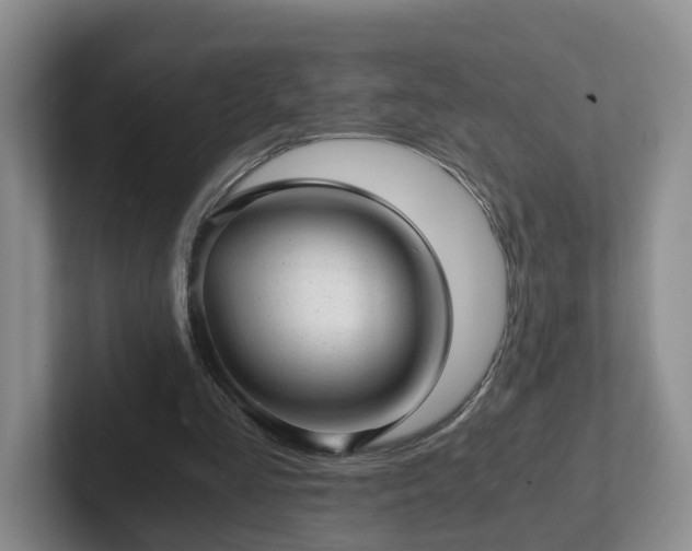 X0000102480293200808151456