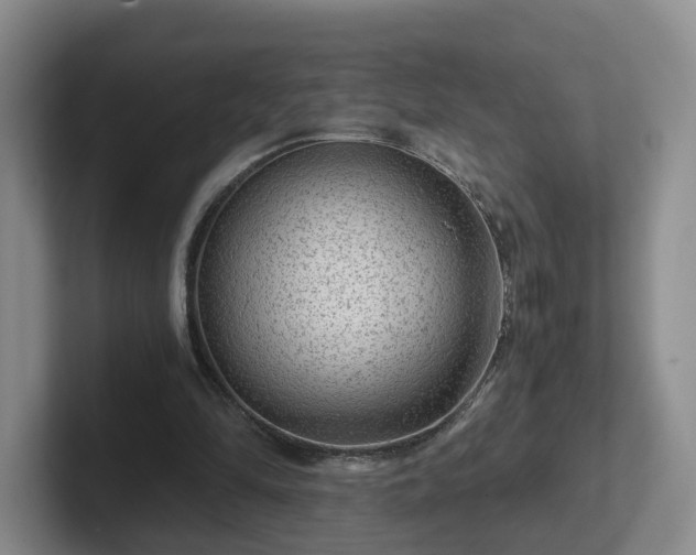 X0000102480294200808151456