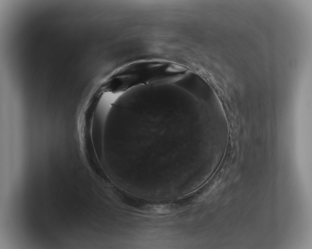 X0000102480295200808151456