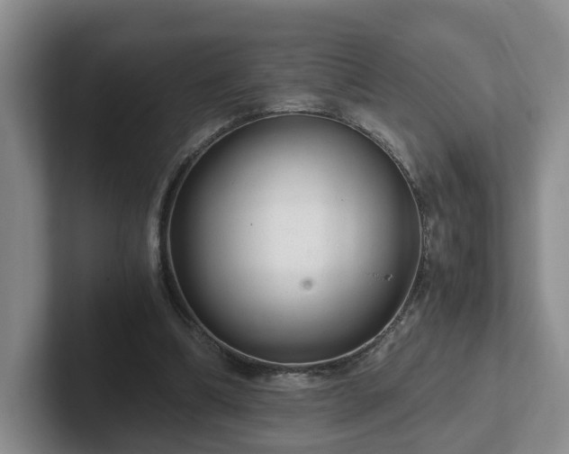 X0000102480298200808151455