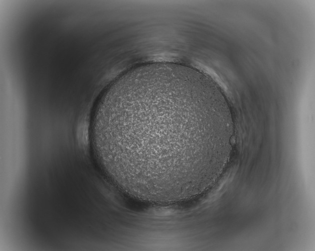 X0000102480299200808151455