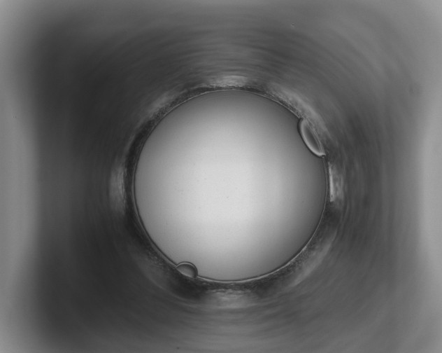 X0000102480300200808151455