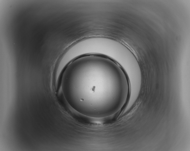 X0000102480301200808151455