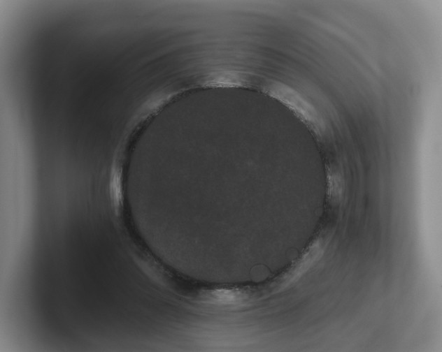 X0000102480302200808151455