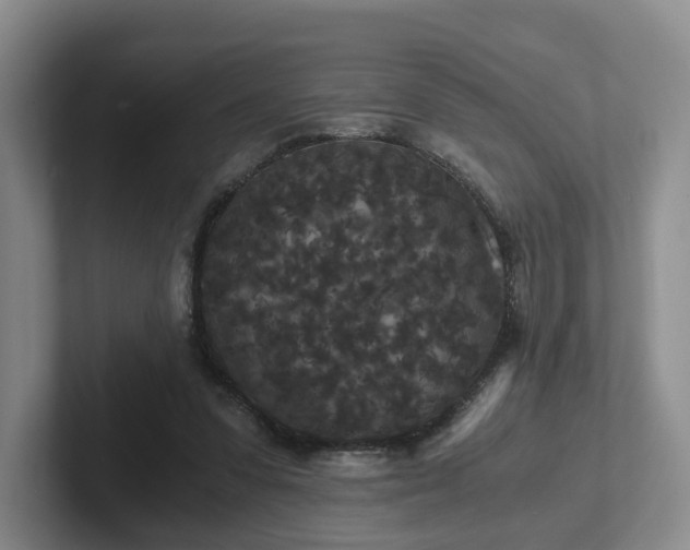 X0000102480303200808151455